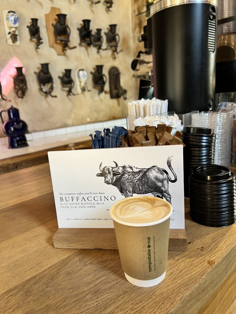 Buffaccino in South Africa